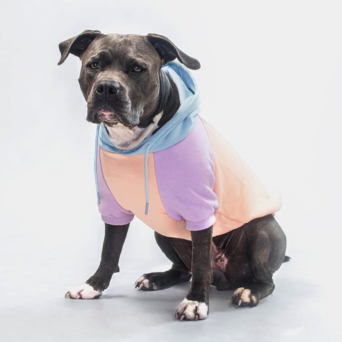 1. Spark Paws Cotton Candy Dog Hoodie